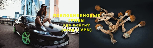 синтетический гашиш Белокуриха
