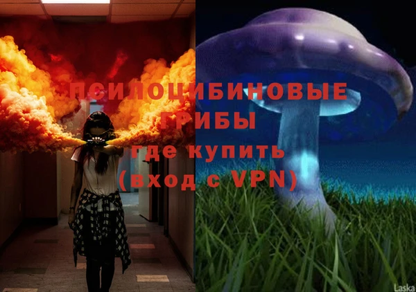 ECSTASY Беломорск