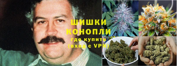 синтетический гашиш Белокуриха