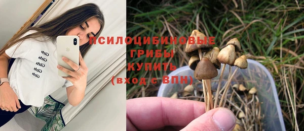 ECSTASY Беломорск