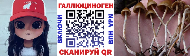 Галлюциногенные грибы мицелий  Всеволожск 