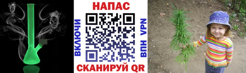 Канабис сатива  нарко площадка какой сайт  Всеволожск 